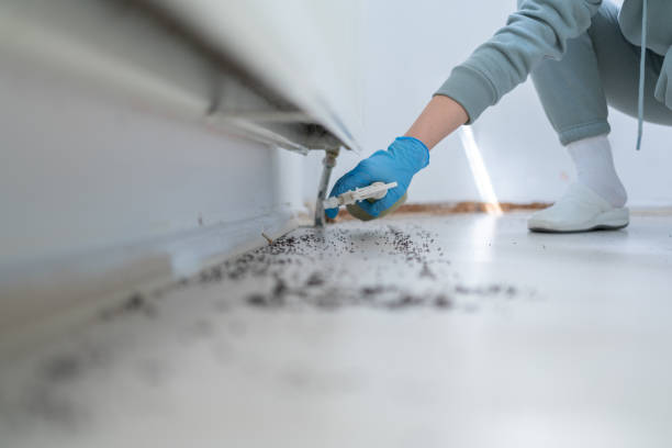 Best Termite Control Services  in Joppatowne, MD